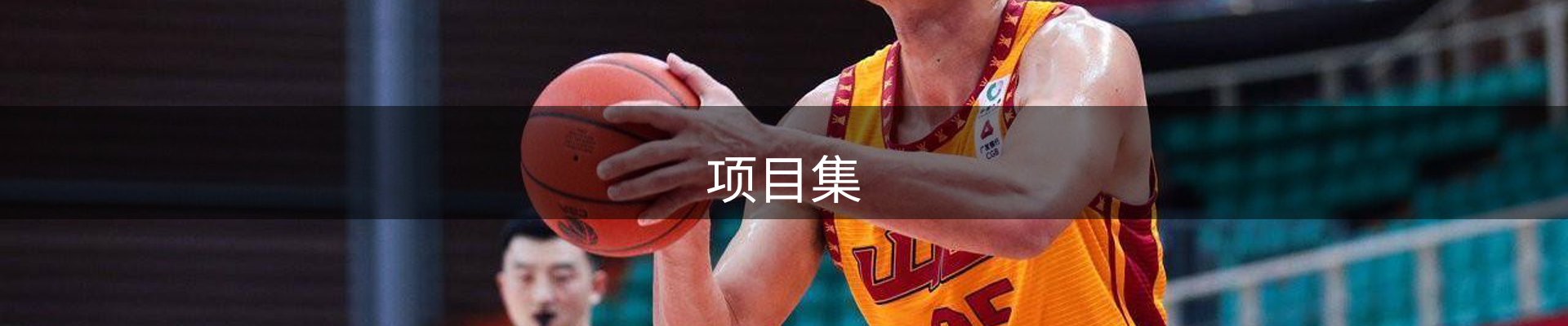 项目集